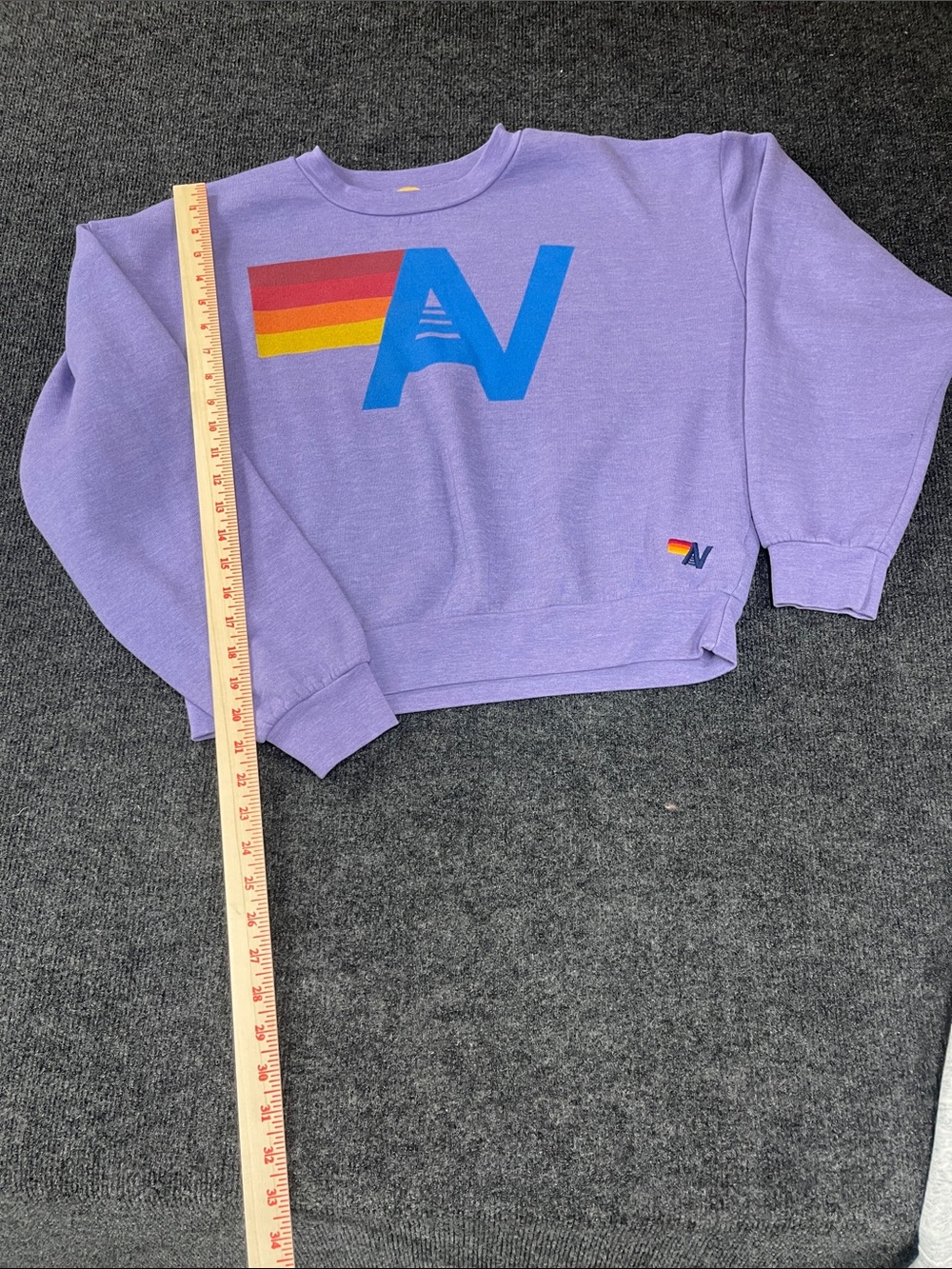 Purple Aviator Nation Crewneck Sweatshirt with Color Block Logo